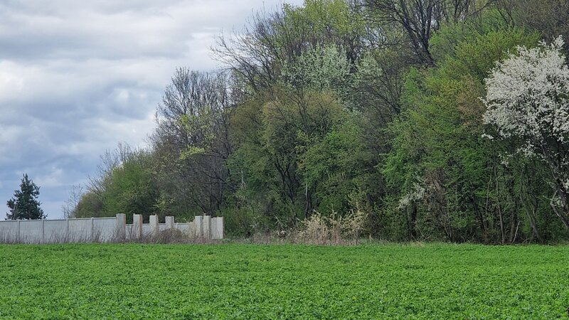 Izvorani, loturi de 500 mp, langa padurea Snagov, locatie de vis.