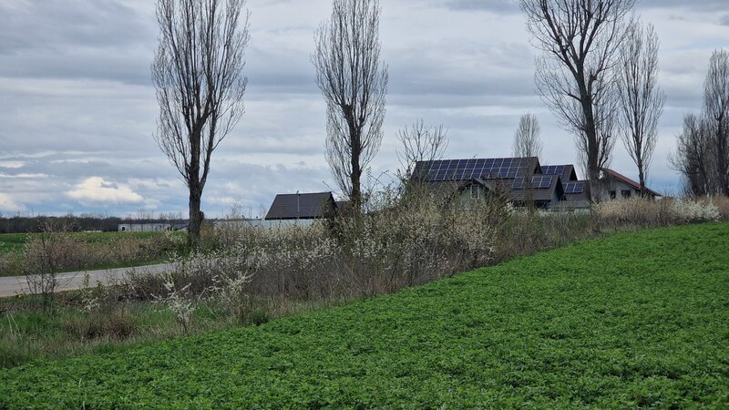 Izvorani, loturi de 500 mp, langa padurea Snagov, locatie de vis.